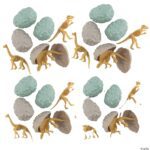 Dinosaur Fossil Discovery Eggs