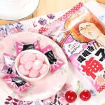 Ribon Japanese Sour Plum Candy