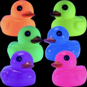 Rubber Fluorescent Ducks