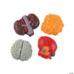 Body Parts Gummy Candy