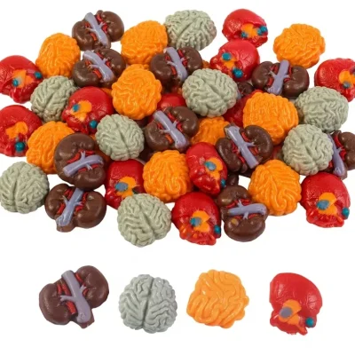 Body Parts Gummy Candy Assortment featuring brain, skull, kidney, and orange brain-shaped gummies in four spooky Halloween designs for candy buffets, party favors, and novelty treats.