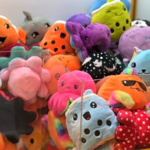 Premium 6-Inch Reversible & Non-Reversible Plush Mix for Prizes