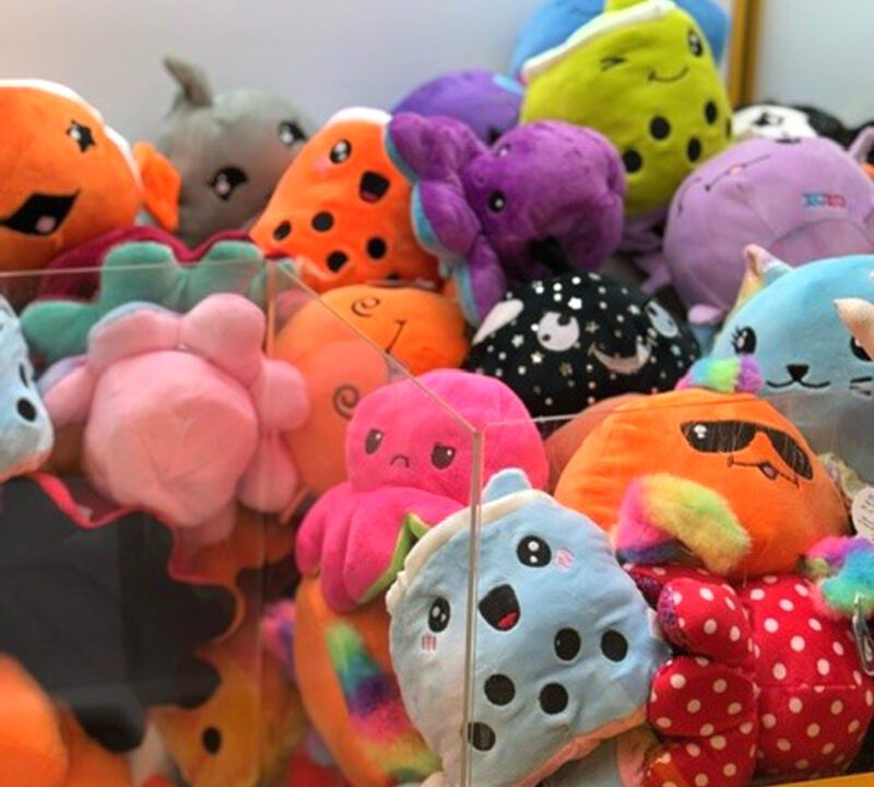 Premium 6-Inch Reversible & Non-Reversible Plush Mix for Prizes